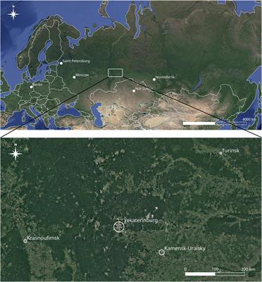 Phylogenetic Diversity of Urban Floras in the Central Urals